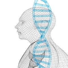 Image showing 3D medical background with DNA strands and human. 3d render