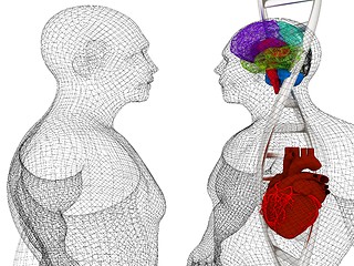 Image showing 3D medical background with DNA strands and wire human body model