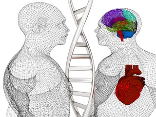 Image showing 3D medical background with DNA strands and wire human body model