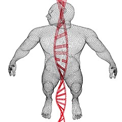 Image showing 3D medical background with DNA strands and human. 3d render