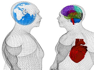 Image showing Wire human body model with heart and brain in x-ray. 3d render. 