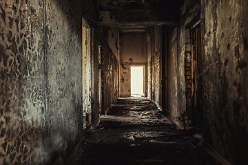 Image showing Abandoned corridor in Pripyat Hospital, Chernobyl Exclusion Zone 2019