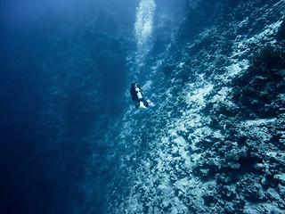 Image showing Diver goes deep into the sea