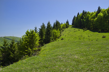 Image showing Green hill landscape