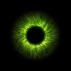 Image showing dark green human iris