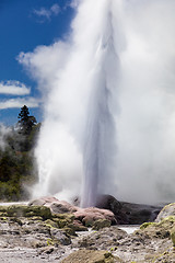 Image showing Geyser in New Zealand Rotorua