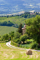 Image showing Scenery in Marche Italy with straw bale on a field 