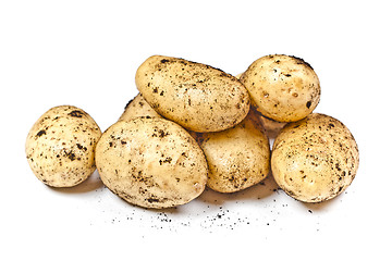 Image showing Newly harvested dirty potatoes heap isolated on white background