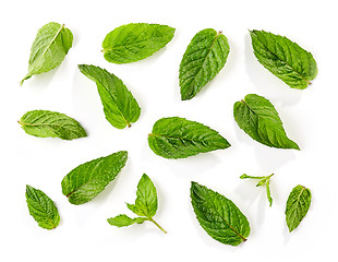 Image showing fresh green mint leaves background