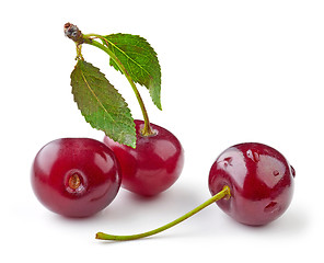 Image showing fresh cherries on white background