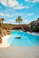 Image showing Jameos del Agua pool in Lanzarote