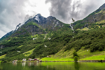 Image showing Sognefjord in Norway