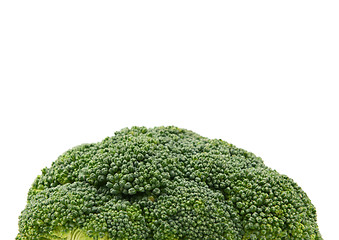 Image showing Fresh green head of calabrese broccoli 