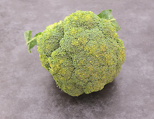 Image showing Head of calabrese broccoli starting to perish