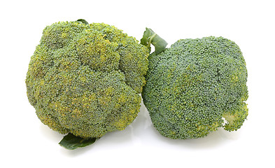 Image showing Two heads of calabrese broccoli - spoiling and fresh