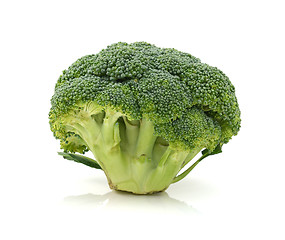 Image showing Fresh head of calabrese broccoli standing upright