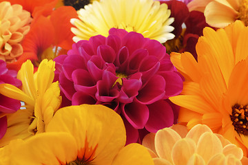 Image showing Detail of flower heads floral background