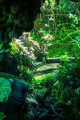 Image showing Garden Bali Indonesia