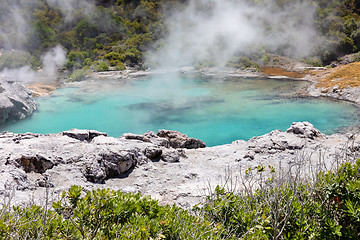 Image showing Geyser in New Zealand Rotorua