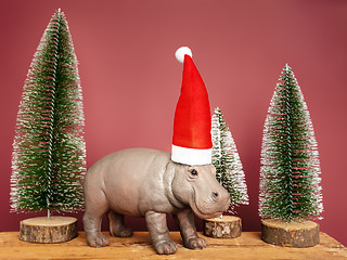 Image showing hippopotamus with santa claus hat