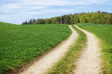 Image showing path in a green meadow nature scenery landscape