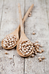 Image showing Fresh raw organic chickpeas in wooden spoons on rustic wooden ta