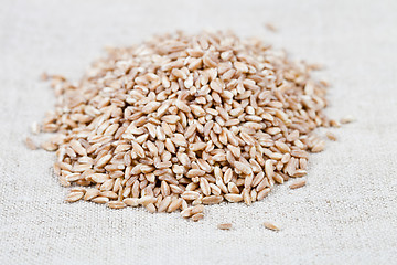 Image showing Dry raw organic wheat grain heap on linen tablecloth background.