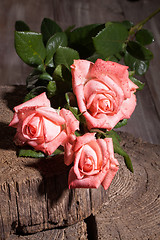 Image showing Pink Roses And Old Wood