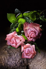 Image showing Pink Roses And Old Wood