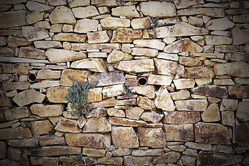 Image showing stone wall with vegetation