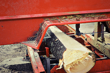 Image showing felled tree at saw mill