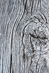 Image showing texture of knotty oak wooden surface