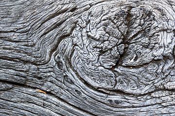 Image showing beautiful knot on old oak board