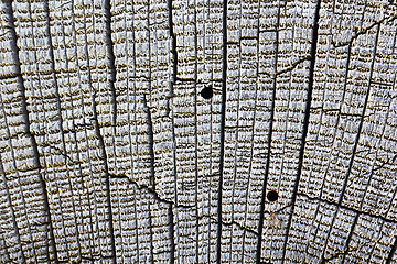 Image showing detail of wood borers attack on plank