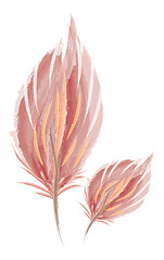Image showing Brown water color feather painting vector or color illustration