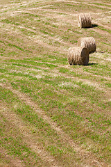 Image showing some straw bales on a field in Marche Italy