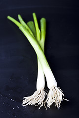 Image showing Fresh organic green onion on wet black background. 