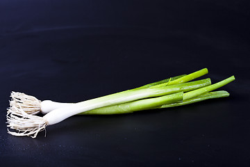 Image showing Fresh organic green onion on wet black background. 