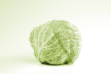 Image showing Green cabbage vegetable