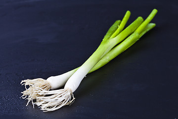 Image showing Fresh organic green onion on wet black background. 