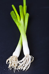 Image showing Fresh organic green onion on wet black background.