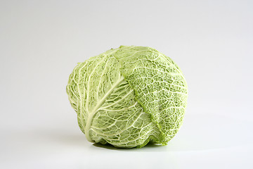 Image showing Green cabbage vegetable