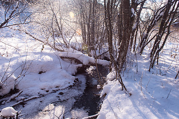 Image showing small river in the winter forest