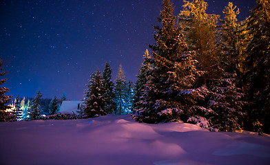 Image showing Beautiful winter night landscape