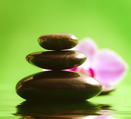 Image showing Orchid and black basalt for spa on green background