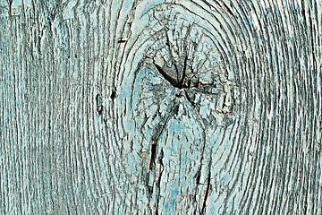 Image showing spruce wood texture with knot