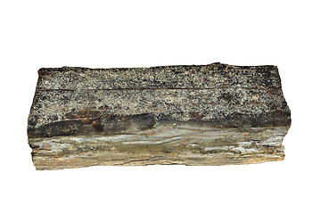 Image showing isolated piece of wood decayed by dry rot