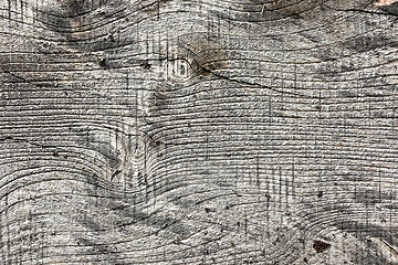 Image showing elm wood board texture 1