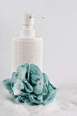 Image showing Liquid soap, green sponge and foam on light background. 