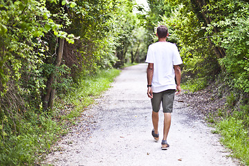 Image showing Man walking on path in summer green park. 